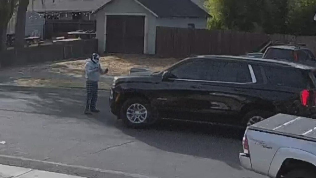 ICE responds after Woodland police dispute initial account of collision with pedestrian — CBS Bay Area (KPIX), Land O' Lakes Health news