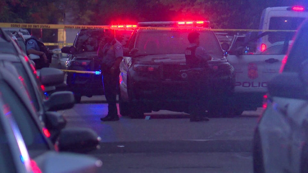 Minneapolis officer fires gun when armed teen carjacker hits squad in stolen car, police say — WCCO / CBS Minnesota, Land O' Lakes Health news