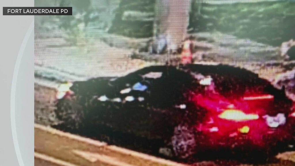 Police seek Mercedes in deadly Fort Lauderdale hit-and-run — CBS Miami, Land O' Lakes Community news