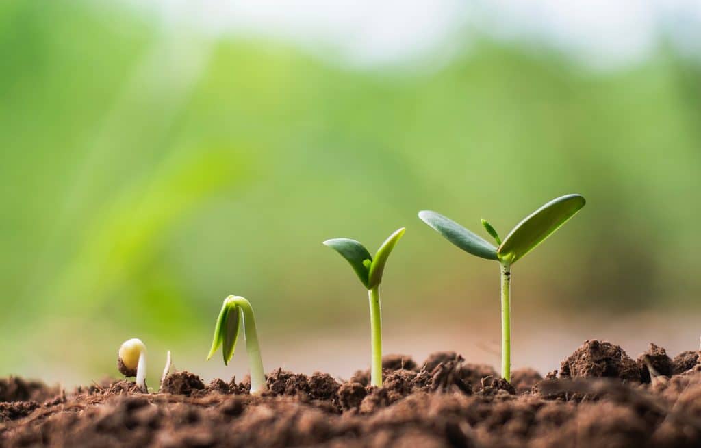 Year-end gifting: Strategies for family, charity and your financial future — Land O' Lakes Arts news