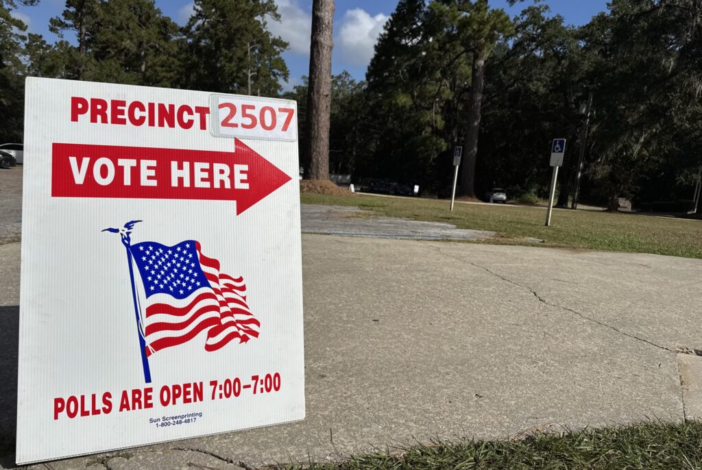 Nearly 4 million Floridians have voted so far — Land O' Lakes Real Estate news