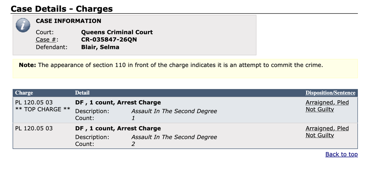 Selma Blair’s Flight From LA to NY Ends With a Federal Case, Two Felony Charges and a Familiar Controversy — Los Angeles Magazine