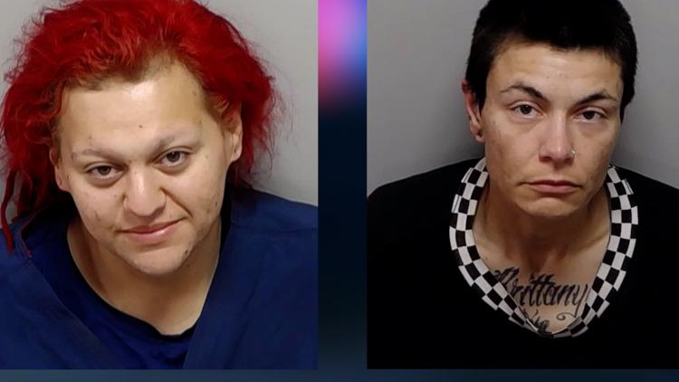 Dogs left to die while owners were passed out and intoxicated in nearby truck, San Antonio police say — KENS 5 (San Antonio), Land O' Lakes Community news