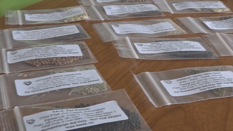 Bradenton nonprofit sends seeds to aid Jamaican families' recovery from Hurricane Melissa — Land O' Lakes Community news