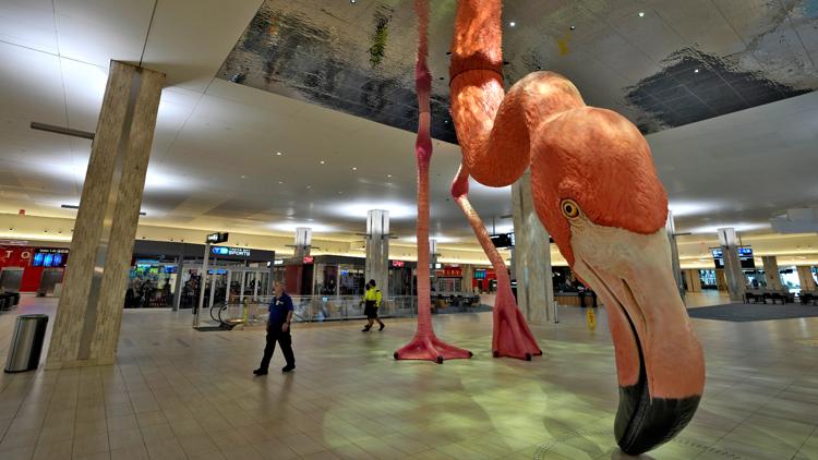 Tampa International Airport named "Best Large Airport" for the third straight year — WTSP 10 Tampa Bay, Land O' Lakes Dining news