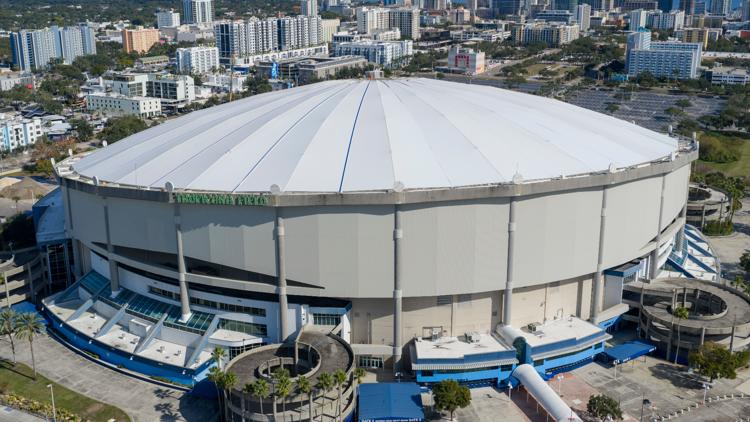 Rays to host ALCS watch parties at Tropicana Field — WTSP Sports Tampa Bay, Land O' Lakes Sports news