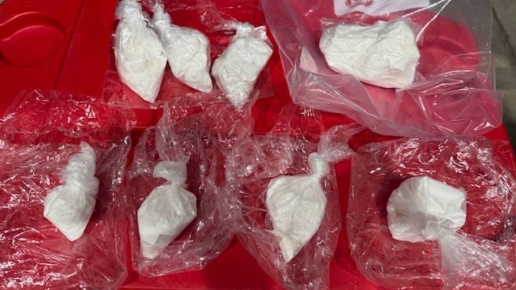 Deputies seize 11 ounces of cocaine, arrest Tampa man following months-long investigation, HCSO said — WTSP 10 Tampa Bay, Land O' Lakes Community news