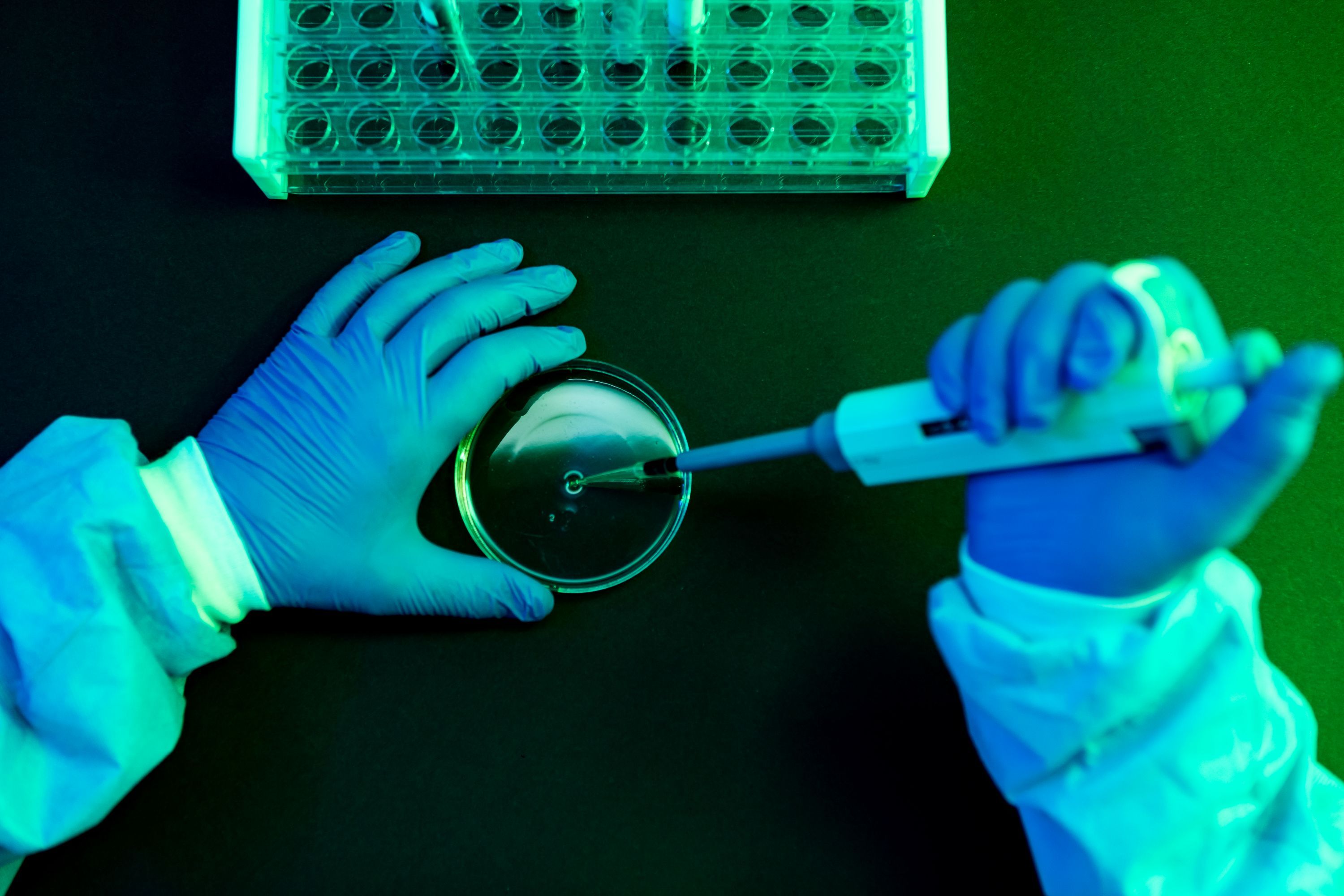What to Know About Shamonda Virus Following the First Reported Human Infection — Wired, Land O' Lakes Technology news