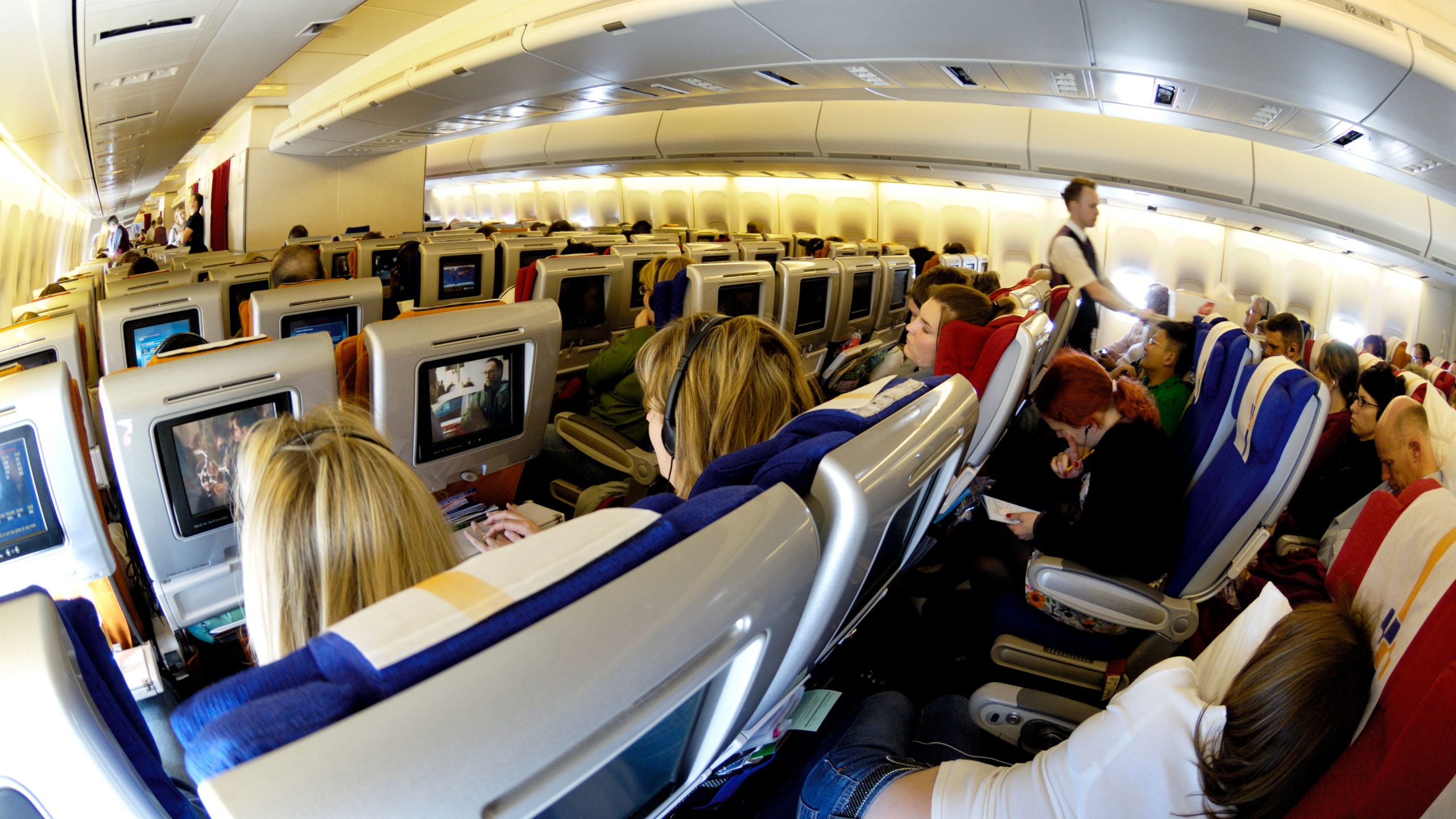 Innocent mistake on long flight could have devastating consequences for travelers — FOX 13 Tampa Bay News, Land O' Lakes Community news