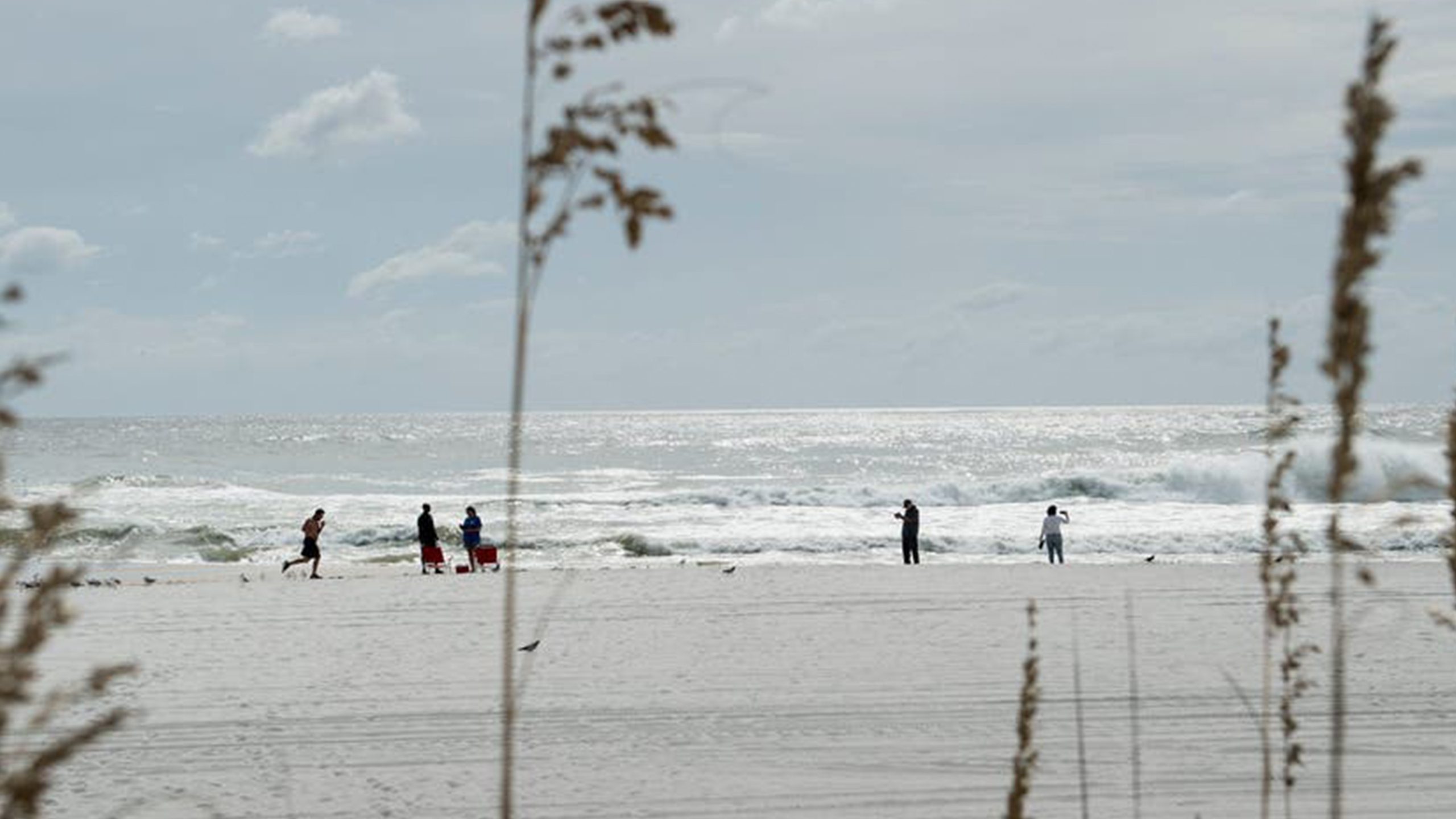 Father of 2 drowns after being caught in current trying to rescue seagull caught in fishing line — Land O' Lakes Community news